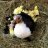 MabelTheMuscovy