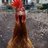 Chickin830