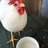 potterpoulets