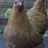 LavernesMom