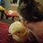 GasserChickens