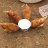 DownInTheCoop