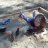 Aprilanne