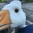 geesechick
