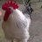 Zoechicken