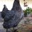 MyChickensAreBeautiful