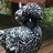 Chicken.Chick