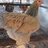 Mckennas poultry