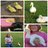 Ducklover108