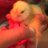 Thebeechicks