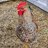 colesbackyardcoop