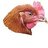 beakman53