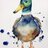 Sunbird 7591