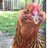 PattyRchickymomma