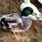 DUCK MIKE