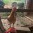 WrenBird