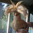 chickenfreak