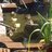 duckhouse42