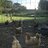 Yellowbirdfarm