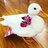 duckypower