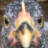 Ilovechickens123