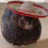 josey_quails