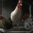 CDchickens