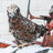 Chickenmama51