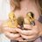 MotherDucker3