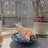 Toffeethedove