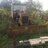 MarketGardener