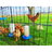 NatsBarnyard