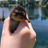 quackkquack__