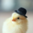 chickenluver14