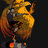 Isabella7Storm5