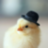 chickens hatch