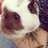 Anyssa