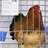 BuffBrahmaBantams