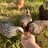 ChickenBone23