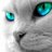 savethosepurrs