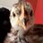 ChickenKeeper43