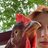 Crazychickenlady1216