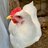 ChickenMommaLady