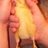 davidjulie777