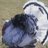 8ball_1965
