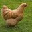Meyers And Sons Chicken F