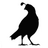 Birds4Eli