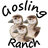 GoslingRanch