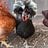 Farmerbyaccident