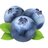 FrozenBlueberry